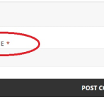 Remove email and website from WordPress comment