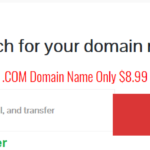 What is a domain name registrar ?