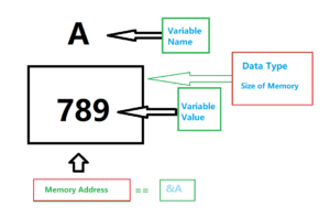 Memory and Variables in C Programming