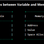 The Relationship Between Variables and Memory