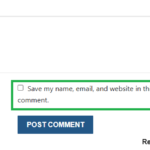 Save My Name, Email, and Website in This Browser for The Next Time I Comment