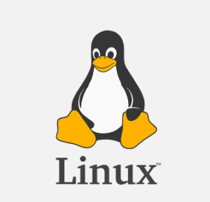 The History of Linux System and The List of Linux Distribtions