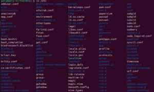 Understanding the Location of Linux System