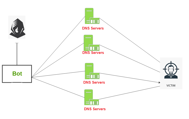 DNS Amplification Attack