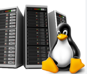 What is Linux Hosting and What is the Benefits of Linux Hosting