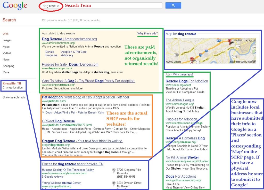 serp-image